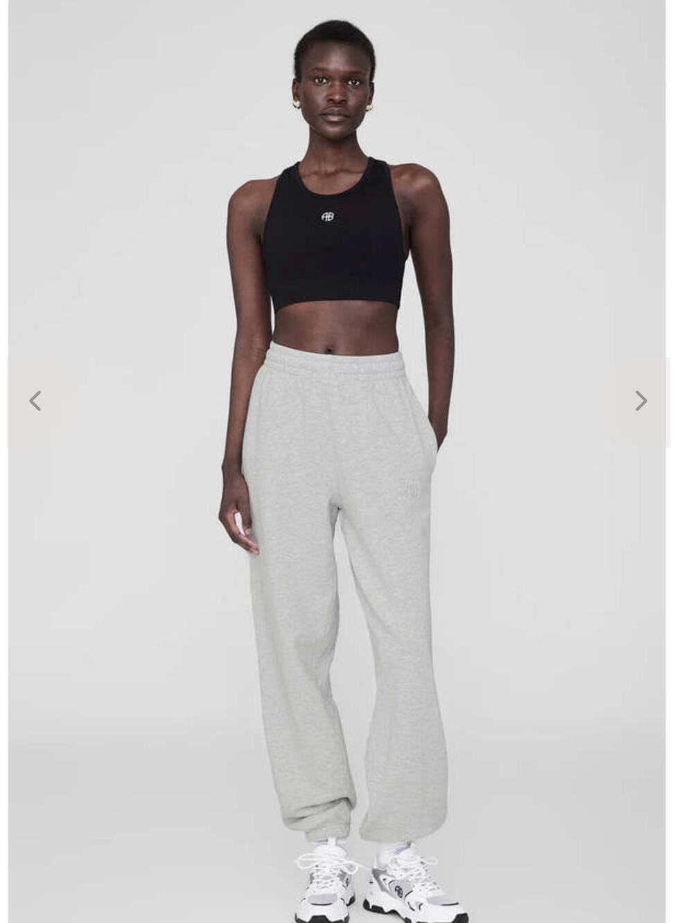 NWT Anine Bing Karter Jogger sweatpants.  Heather color fleece.